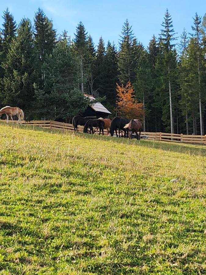 Urige Waldbienenhuette Leilighet Diex Eksteriør bilde